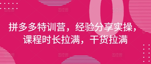 拼多多特训营，经验分享实操，课程时长拉满，干货拉满(更新25年4月)-涵知项目站