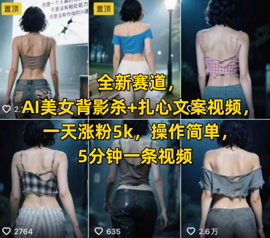 全新赛道，AI美女背影杀+扎心文案视频，一天涨粉5k，操作简单，5分钟一条视频-涵知项目站