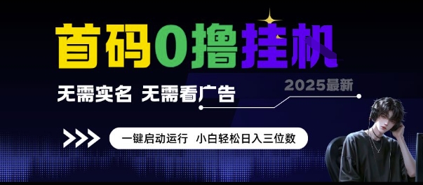 首码0撸挂G项目，无需实名无需看广告 一键启动运行，小白轻松日入三位数【揭秘】-涵知项目站