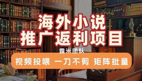 海外小说推广返利项目，视频投喂， 一刀不剪，矩阵批量-涵知项目站