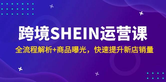 （14832期）跨境SHEIN运营课，全流程解析+商品曝光，快速提升新店销量-涵知项目站