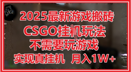 2025最新游戏搬砖，CSGO挂G，不需要玩游戏，实现真挂G，月入1W+【揭秘】-涵知项目站