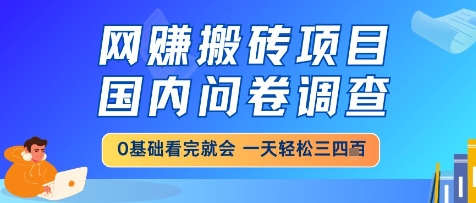 网创搬砖项目，国内问卷调查，小白轻松上手，一天三四张的也不难，干就完了【揭秘】-涵知项目站