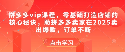 拼多多vip课程，零基础打造店铺的核心秘诀，助拼多多卖家在2025卖出爆款，订单不断-涵知项目站