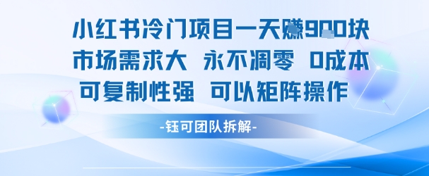 小红书冷门项目一天收益9张，市场需求大，0成本，可复制性强可以矩阵操作-涵知项目站