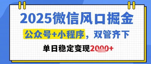 2025微信风口掘金，公众号+小程序双管齐下，单日稳定变现1k+【揭秘】-涵知项目站