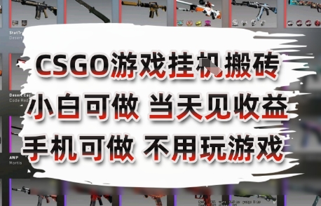 CSGO游戏挂G搬砖，小白纯手机即可操作，不用电脑打游戏，日入3张+，副业网创项目【揭秘】-涵知项目站