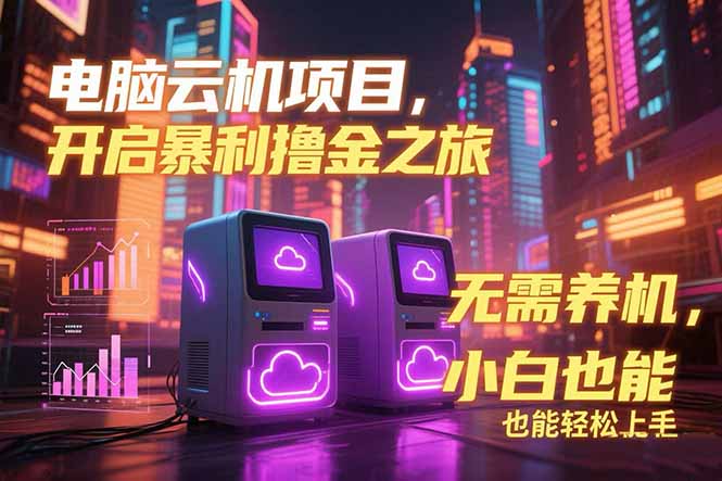 电脑云机项目 暴力撸金玩法，不需要养机 配置没有要求 单机100个窗口一…-涵知项目站