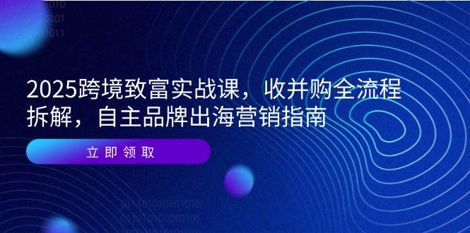 （14975期）2025跨境致富实战课，收并购全流程拆解，自主品牌出海营销指南-涵知项目站