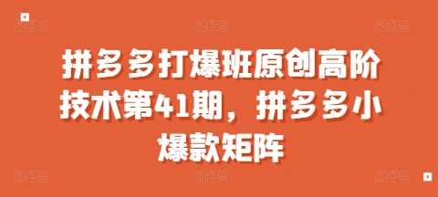拼多多打爆班原创高阶技术第41期，拼多多小爆款矩阵-涵知项目站