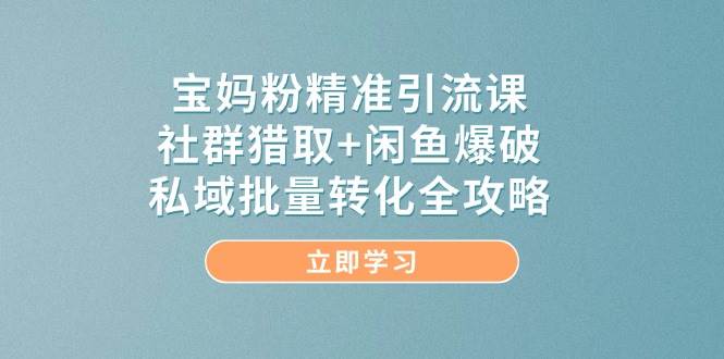 宝妈粉精准引流课，社群猎取+闲鱼爆破，私域批量转化全攻略-涵知项目站