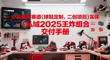 小众暴利赛道(球鞋定制，二创项目)实体+私域2025王炸组合 交付手册-涵知项目站