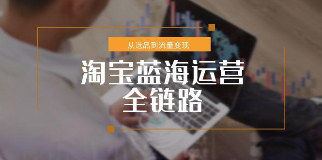 淘宝蓝海运营全链路，从选品到流量变现，小类目突围完整方案-涵知项目站