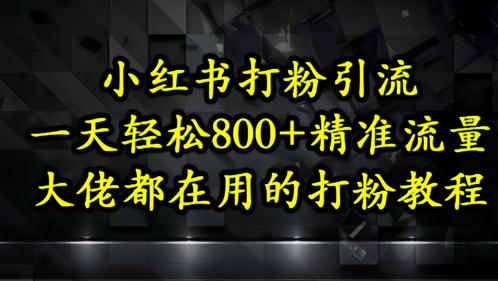 小红书打粉引流，一天轻松500+精准流量，大佬都在用的打粉教程-涵知项目站