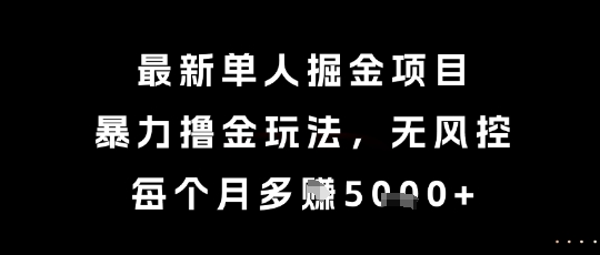 最新单人掘金项目，暴力撸金玩法，无风控，每个月多挣5k+【揭秘】-涵知项目站