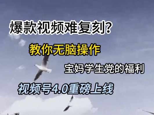 视频号4.0重磅上线，爆款视频难复刻？教你无脑操作宝妈学生党的福利【揭秘】-涵知项目站