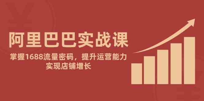 阿里巴巴实战课：掌握1688流量密码，提升运营能力，实现店铺增长-涵知项目站