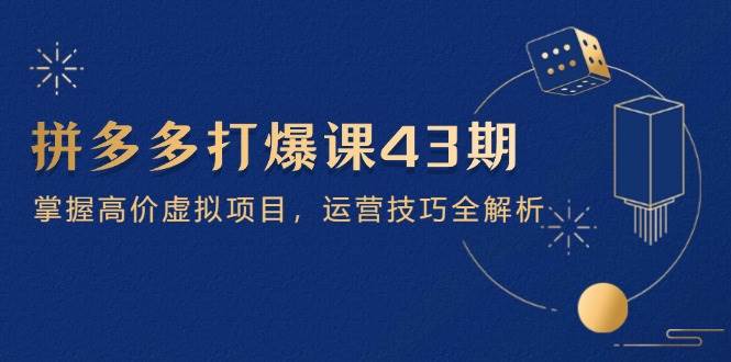 （14546期）拼多多打爆课第 43 期，掌握高价虚拟项目，运营技巧全解析（15节）-涵知项目站