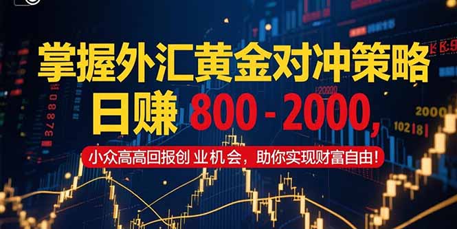 掌握外汇黄金对冲策略，日赚 800 – 2000，小众高回报创业机会，助你实…-涵知项目站