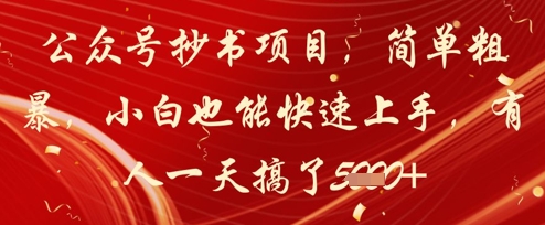 公众号抄书项目，简单粗暴，小白也能快速上手，有人一天搞了1k+-涵知项目站
