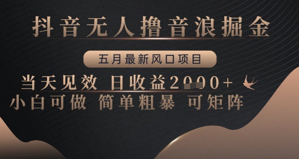 抖音无人撸音浪掘金，五月最新风口项目，当天见效，日收益多张，小白可做简单粗暴可矩阵【揭秘】-涵知项目站