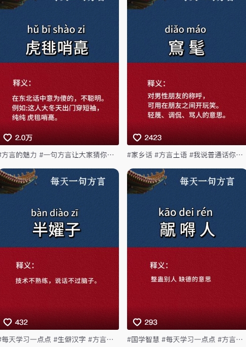 抖音最新涨粉玩法，图文方言暴力涨粉实操，126作品涨粉11W-涵知项目站