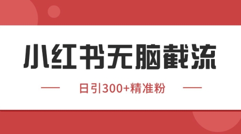 小红书只要你有同行就能获客，独家野路子获客玩法，暴力截流【揭秘】-涵知项目站
