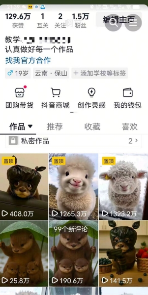 抖音65W博主AI萌宠课程，新赛道流量大，原创+二创，全套课程+提示词-涵知项目站