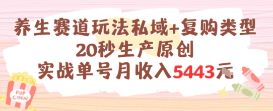 养生赛道玩法私域+复购类型，20秒生产原创实战单号月收入5k+-涵知项目站