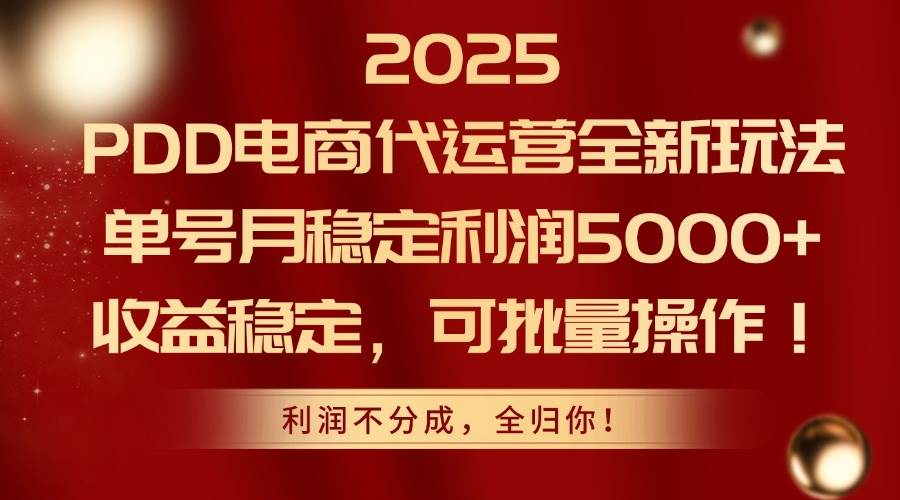 （14839期）2025PDD电商代运营全新玩法，单号月稳定利润5000+，收益稳定，可批量操作-涵知项目站