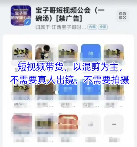 宝子哥头部团队短视频带货，以混剪为主，不需要真人出镜，不需要拍摄【更新6月】-涵知项目站