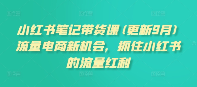 小红书笔记带货课(更新25年6月)流量电商新机会，抓住小红书的流量红利-涵知项目站