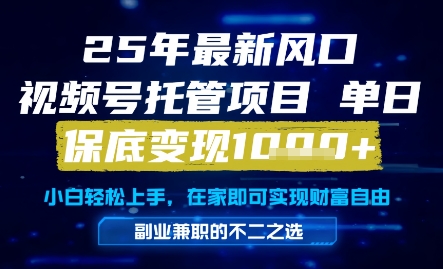 25年最新风口，视频号托管项目，单日保底变现1k+，手把手教学【揭秘】-涵知项目站