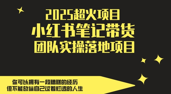 2025超火项目，副业最佳选择，小红书笔记带货团队实操落地项目，，轻松日入5张-涵知项目站