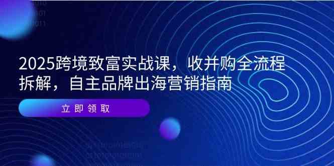 2025跨境致富实战课，收并购全流程拆解，自主品牌出海营销指南-涵知项目站
