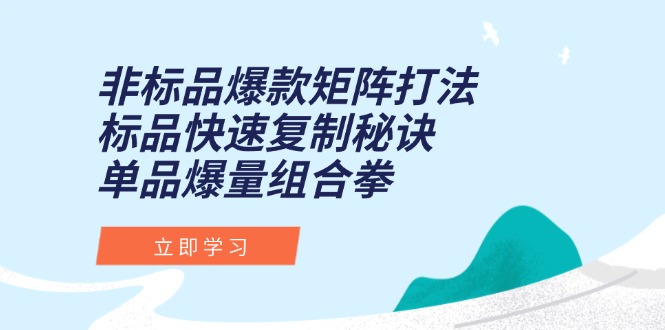 非标品爆款矩阵打法，标品快速复制秘诀，单品爆量组合拳-涵知项目站