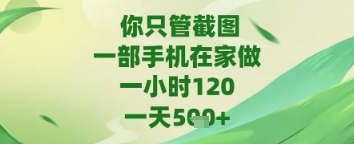 你只管截图，一部手机在家做，苹果安卓都可以，一天5张+【揭秘】-涵知项目站