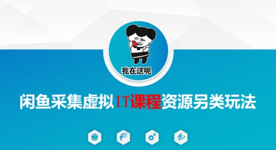 闲鱼采集虚拟IT课程资源另类玩法，干货满满-涵知项目站