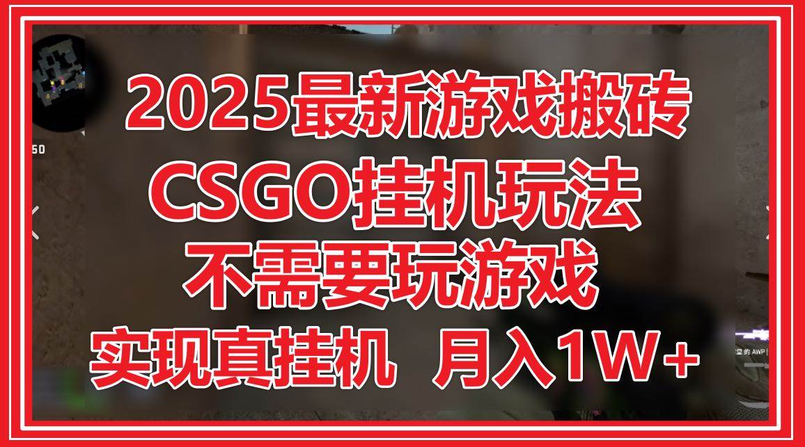 （14743期）2025最新游戏搬砖，CSGO挂机，不需要玩游戏，实现真挂机，月入1W+-涵知项目站