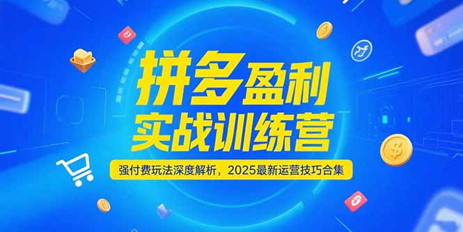拼多多盈利实战训练营，强付费玩法深度解析，2025运营技巧合集-更新6月-涵知项目站