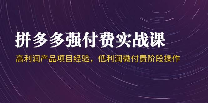 （14874期）拼多多强付费实战课-44期，高利润产品项目经验，低利润微付费阶段操作-涵知项目站