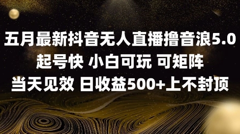 2025五月最新无人直播撸音浪单日产出5张+实操教程【揭秘】-涵知项目站
