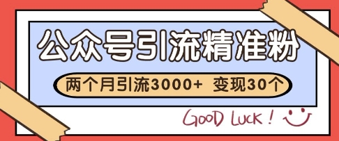 公众号精准粉引流玩法，2个月3000+精准粉，变现30个W【揭秘】-涵知项目站