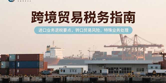 跨境贸易税务指南，进口业务退税要点，转口贸易风险，特殊业务处理-涵知项目站